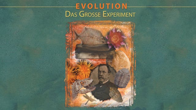 Evolution Das Grosse Experiment (Evolution: The Grand Experiment Episode 1)