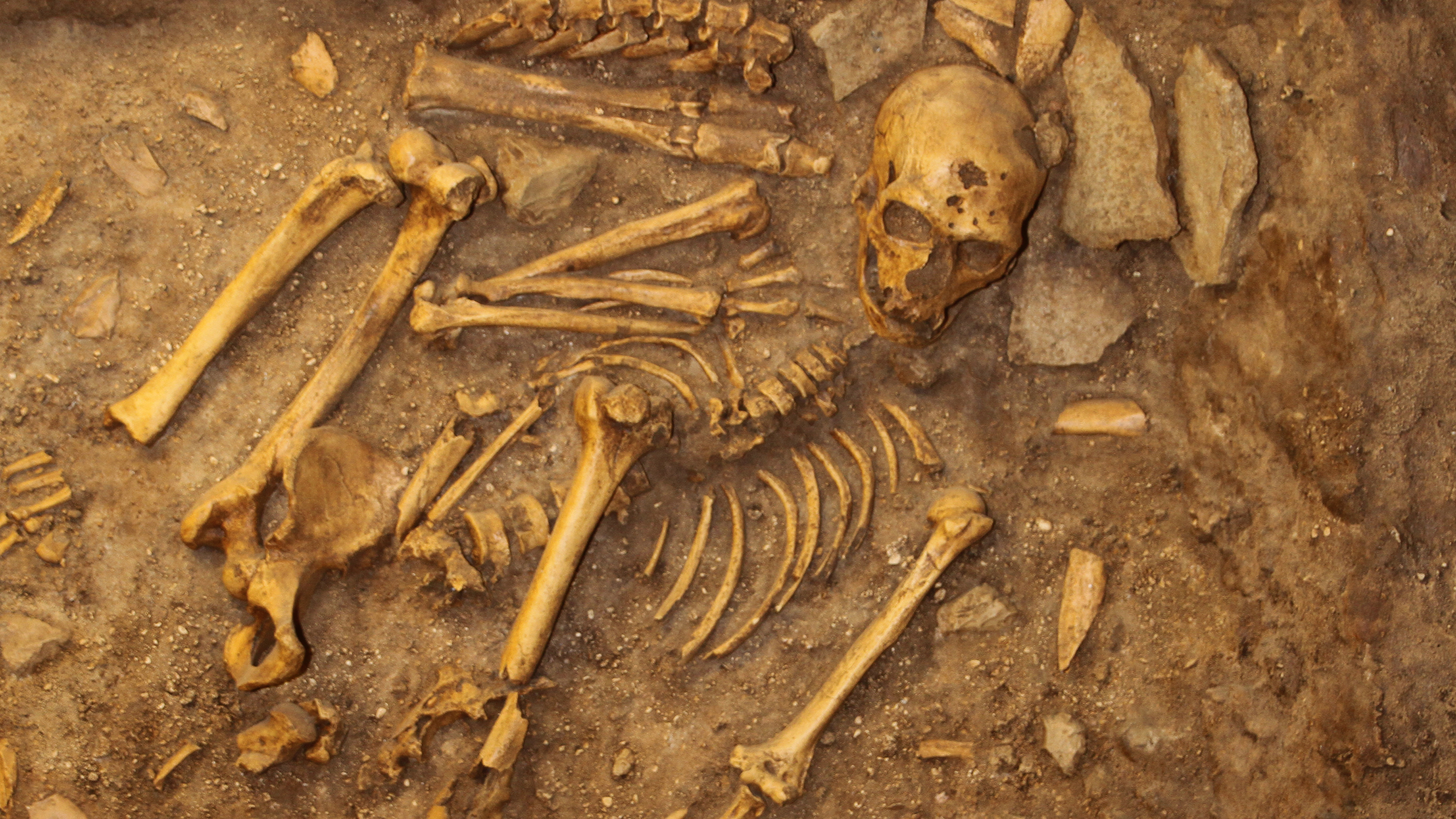 Episode 7/8 Human Evolution Fraud in Europe