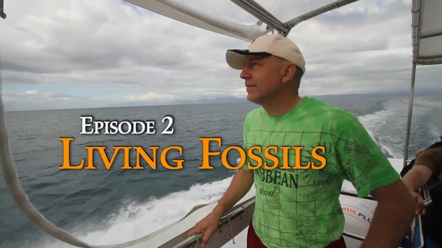 Episode 2 Living Fossils