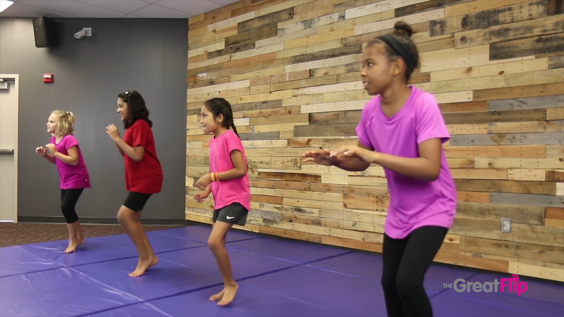 Jiu-jitsu Games: The Great Flip Online Martial Arts