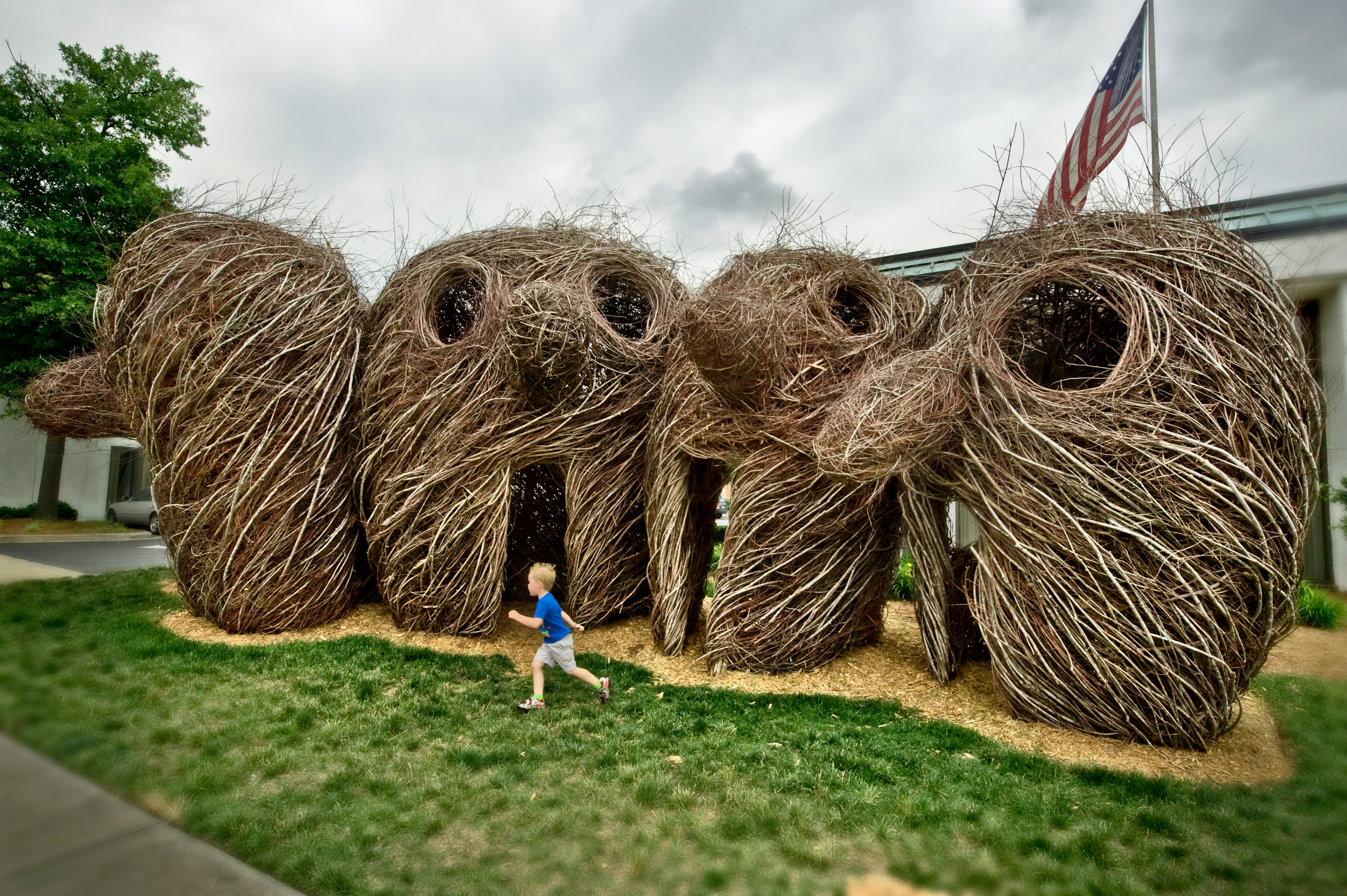 Bending Sticks: The Sculpture of Patrick Dougherty