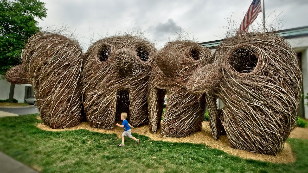 Bending Sticks: The Sculpture of Patrick Dougherty