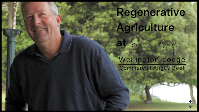 Building soil in vineyard via regen ag and the 'Grazing Naturally Method'