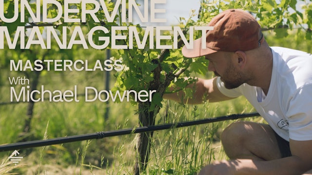 Under vine management with Michael Downer | Coming Soon