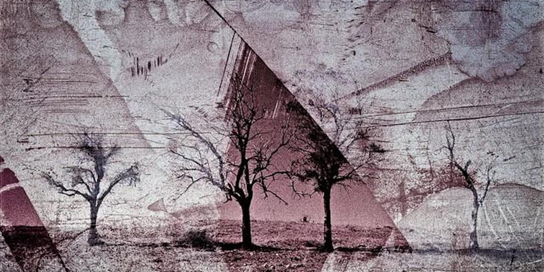 Decolonising Minds - Israel & Palestine
