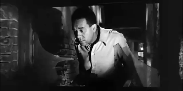 Race as Screen: The Iridescent Allure