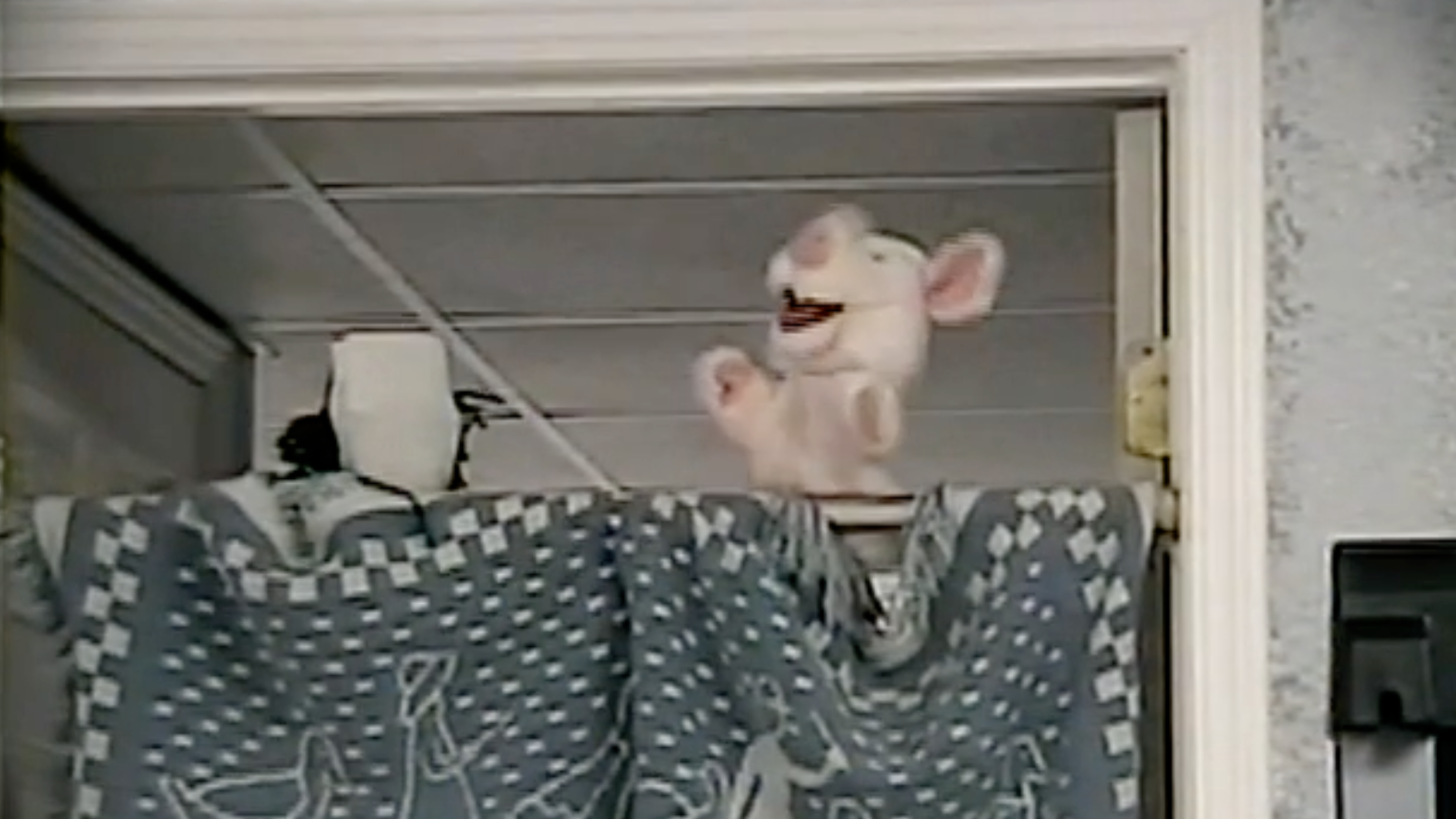 Nathan's Puppet Show