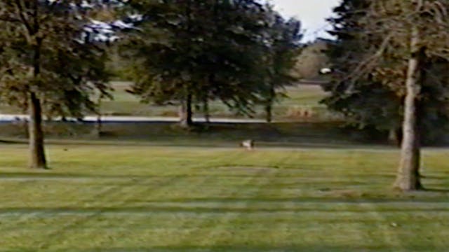 Tigger Chasing Animal