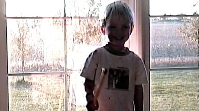 Window Cleaning