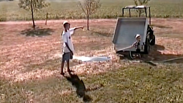 Golf Cart Cleanup