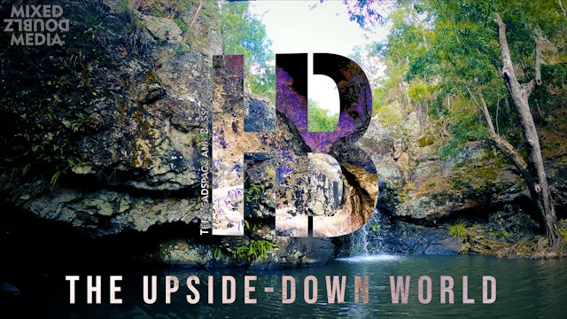 The Upside-Down World Part 2 - Hive Mind