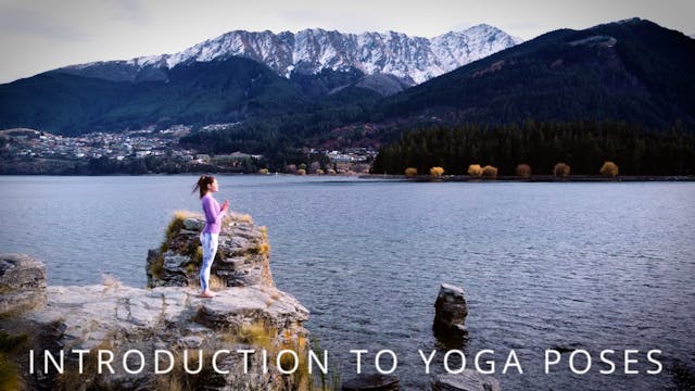 Introduction To Yoga Poses