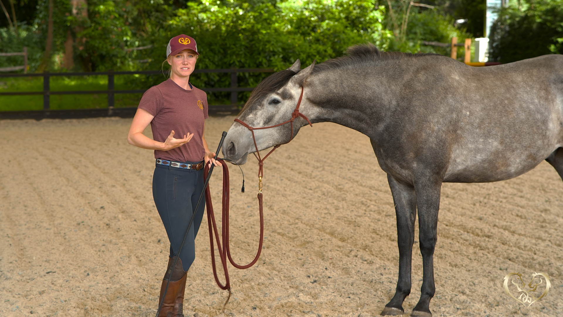 USING THE PRINCIPLES OF HORSEMANSHIP