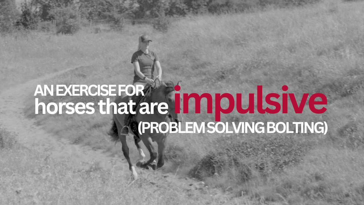 AN EXERCISE FOR HORSES WHO ARE IMPULSIVE AND BOLT