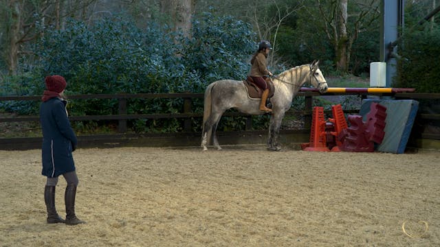 BRIDLELESS PREPARATION WITH CORNERS GAME