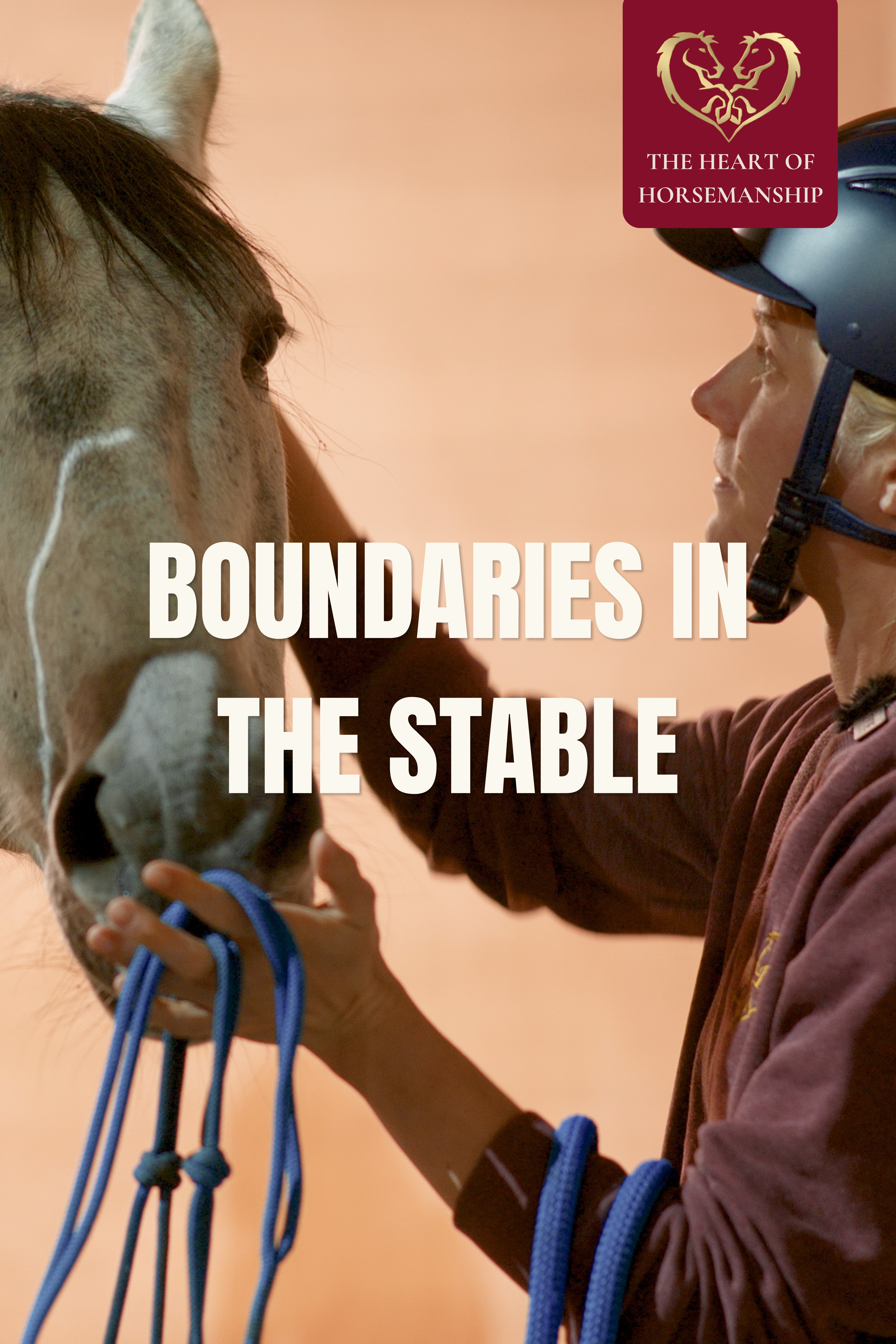 BOUNDARIES IN THE STABLE