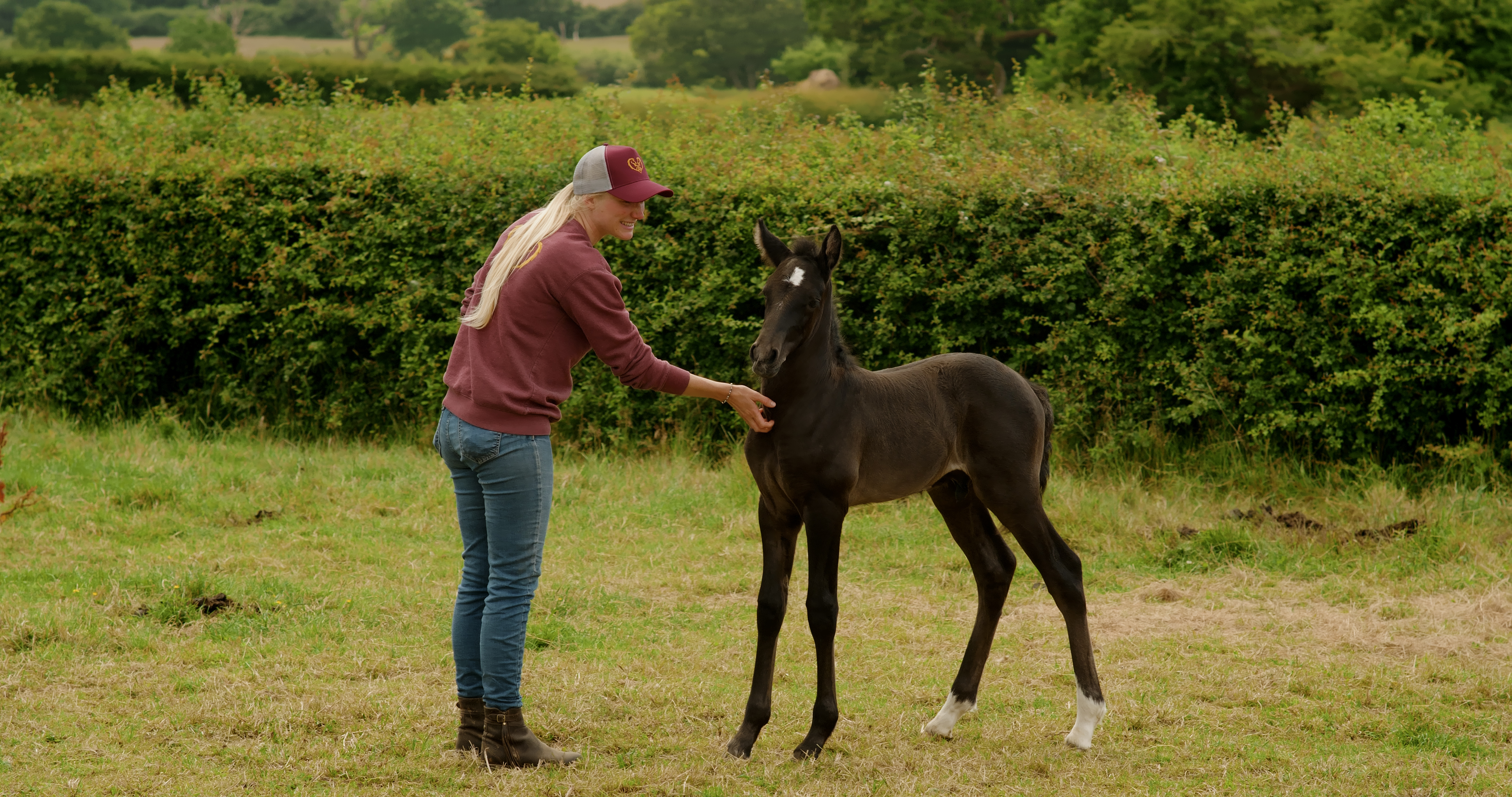 BUILDING DRAW WITH FOALS AND DEVELOPING TRUST WITH TOUCH