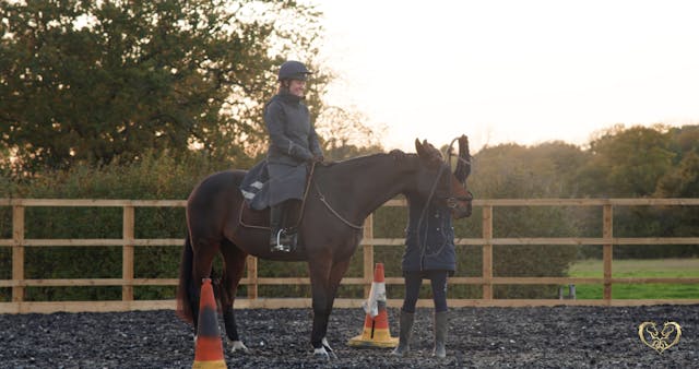 FOUNDATIONS FOR BRIDLELESS RIDING PT 2