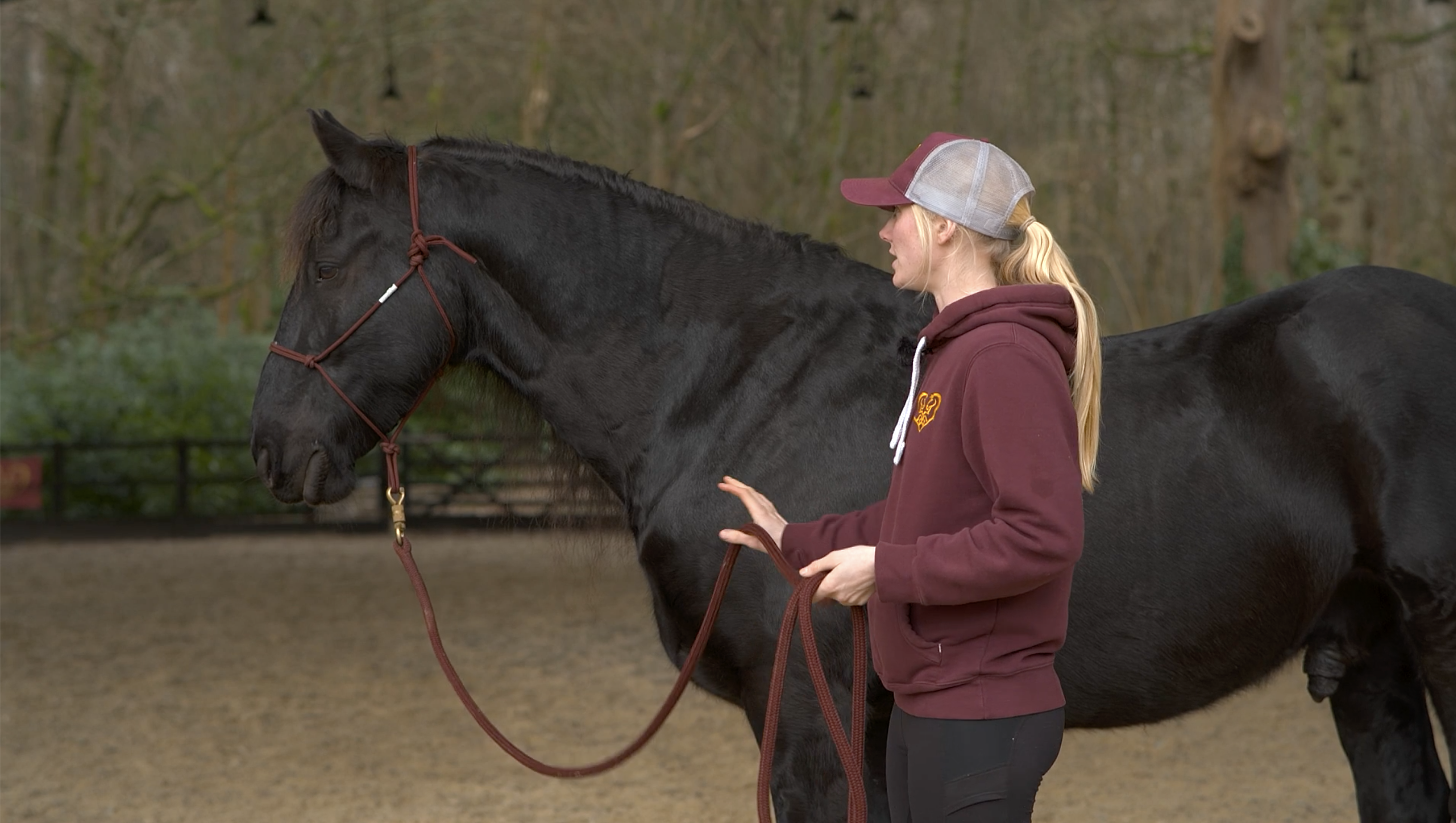 12ft ROPE TRAINING LINE