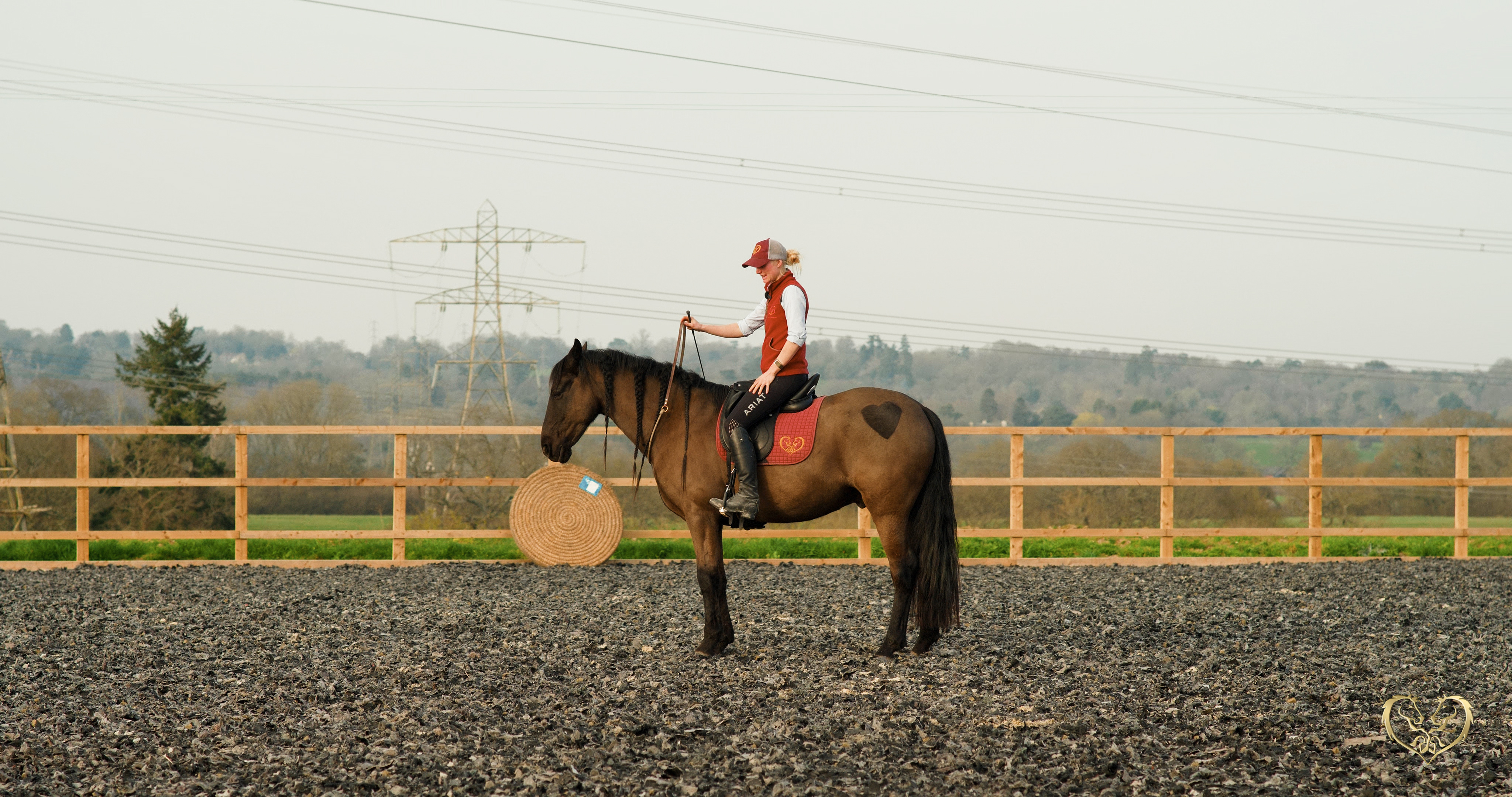 SEVERAL WAYS TO STOP WHILST BRIDLELESS