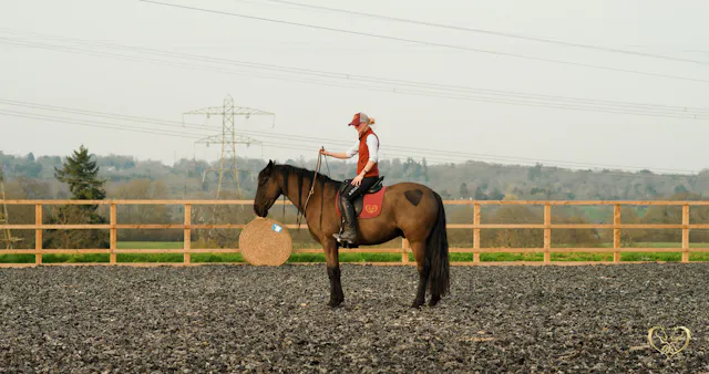 SEVERAL WAYS TO STOP WHILST BRIDLELESS