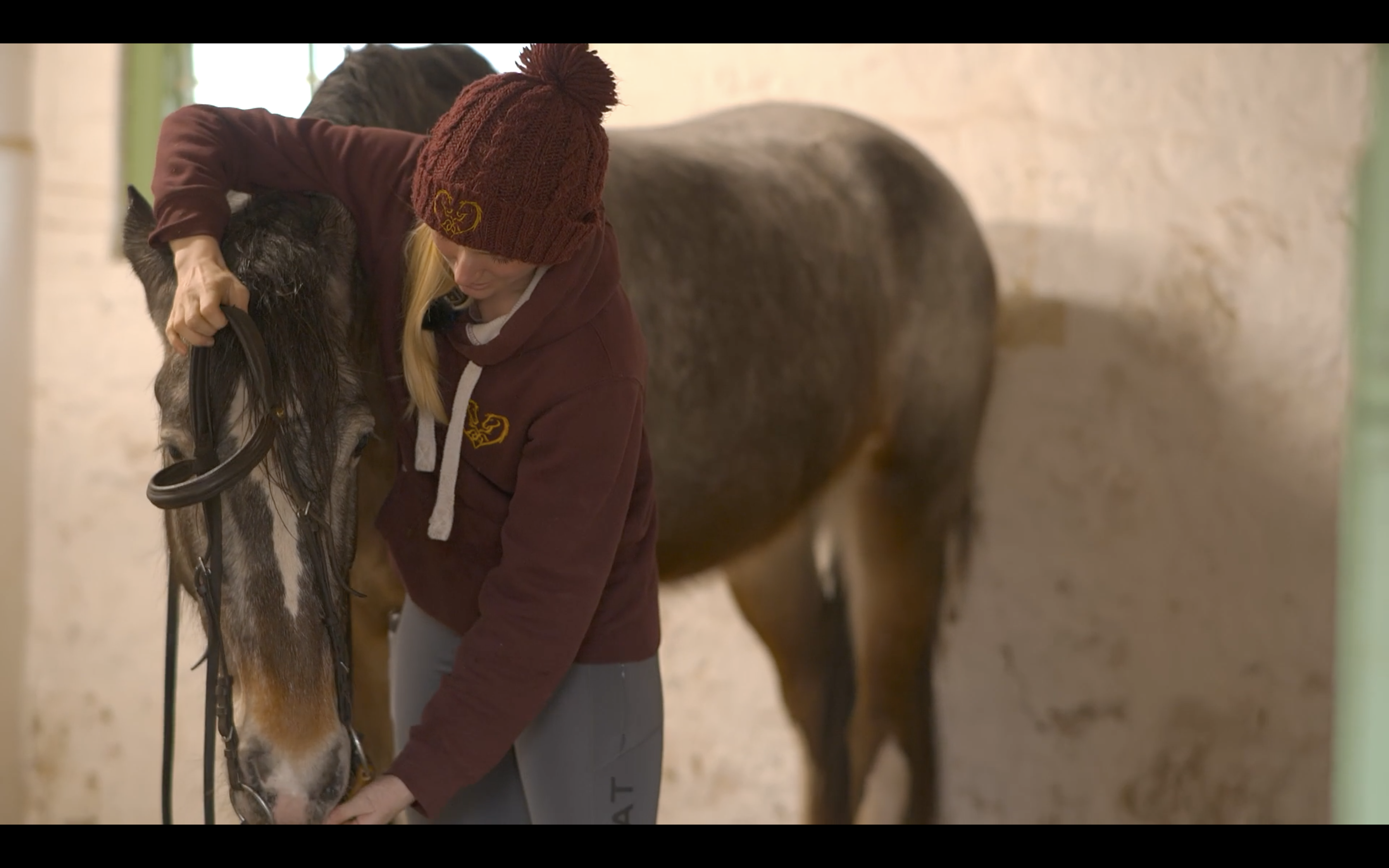 BRIDLING A YOUNG HORSE