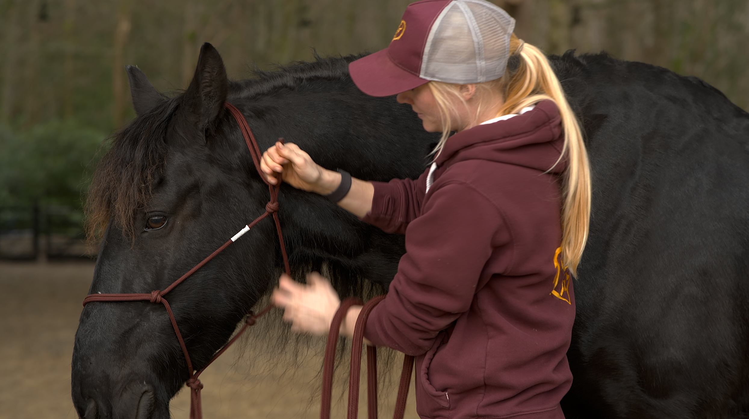 HOW TO TIE A ROPE HALTER