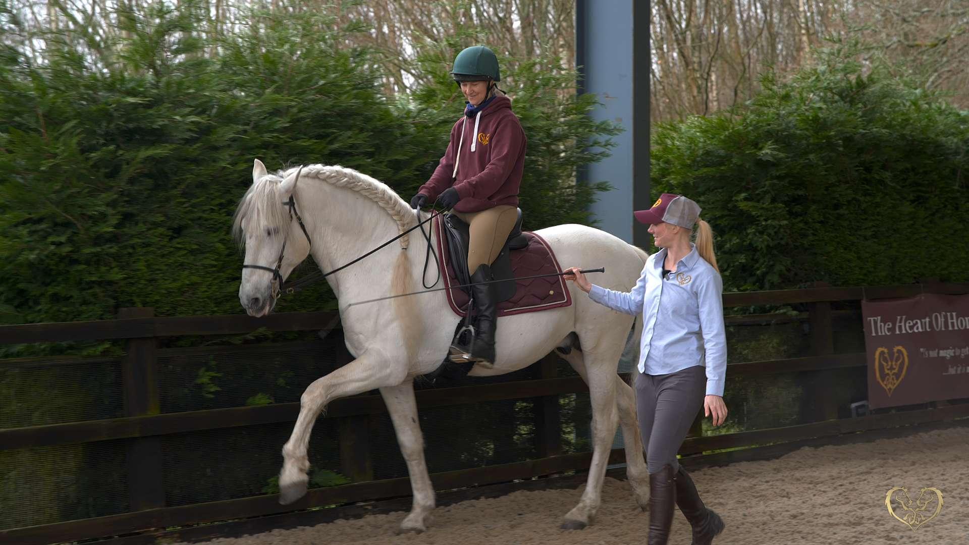 TEACH YOUR HORSE SPANISH WALK UNDER SADDLE