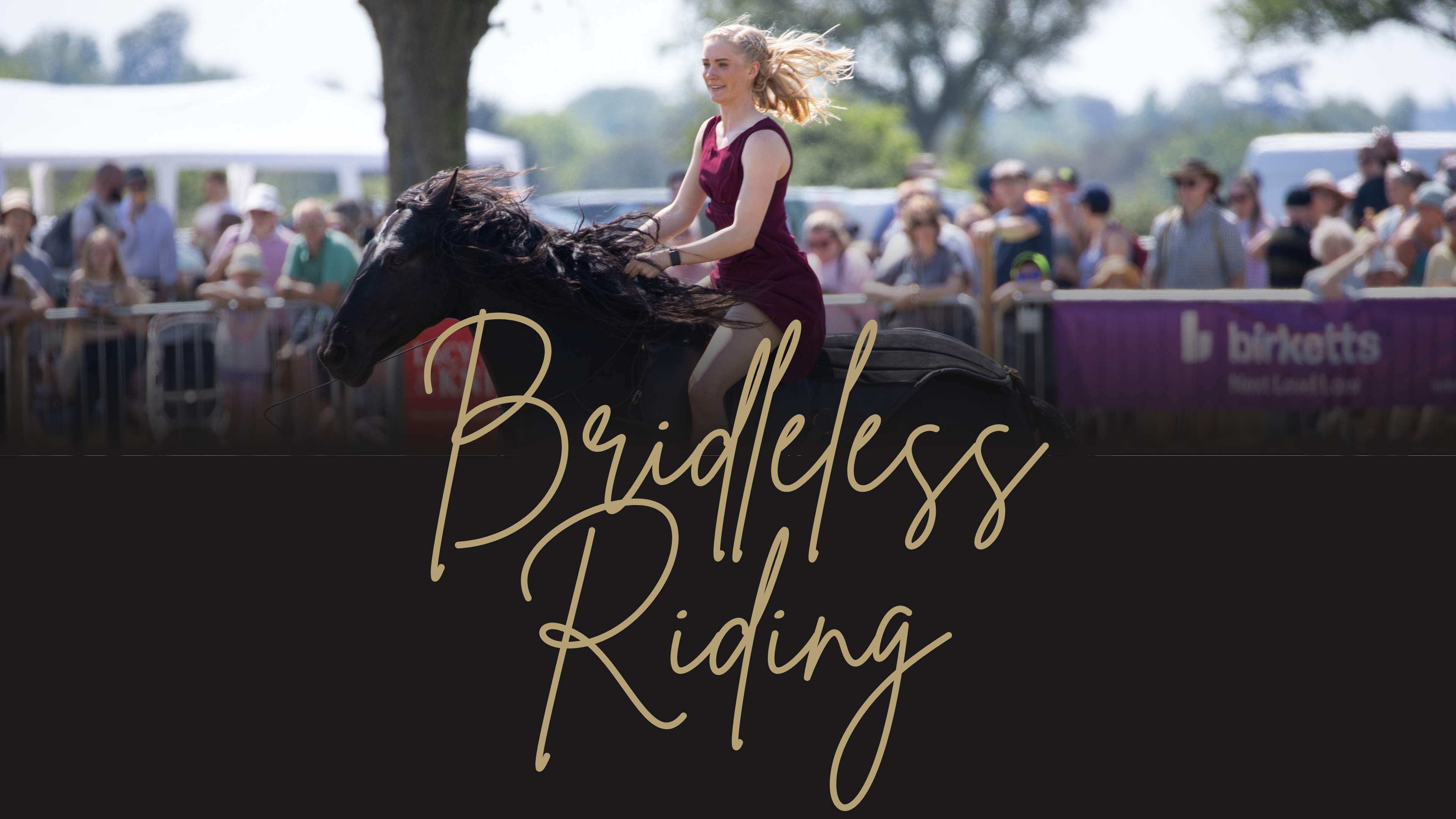 Bridleless Riding