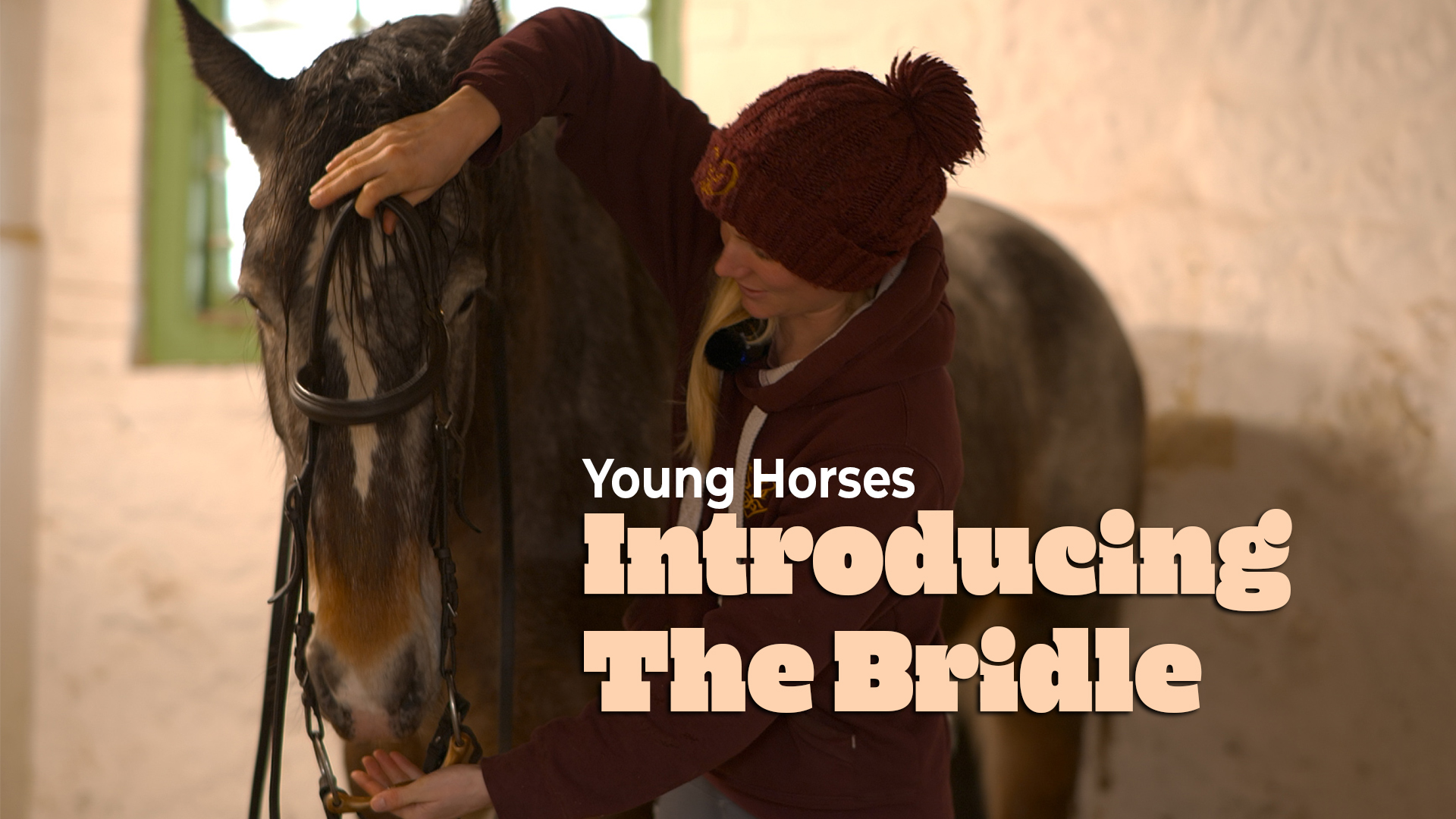 Introducing the Bridle