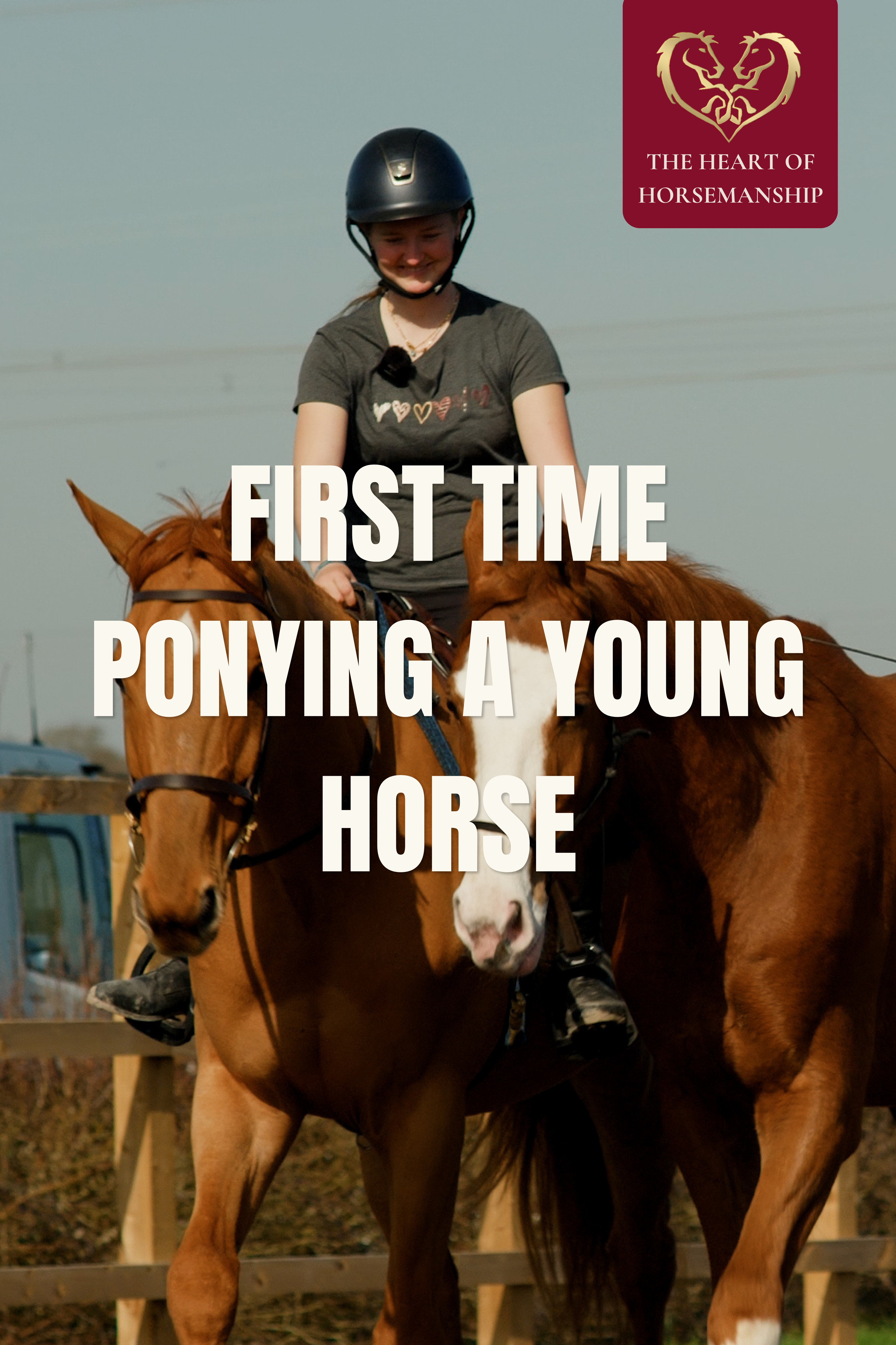 FIRST TIME PONYING A YOUNG HORSE