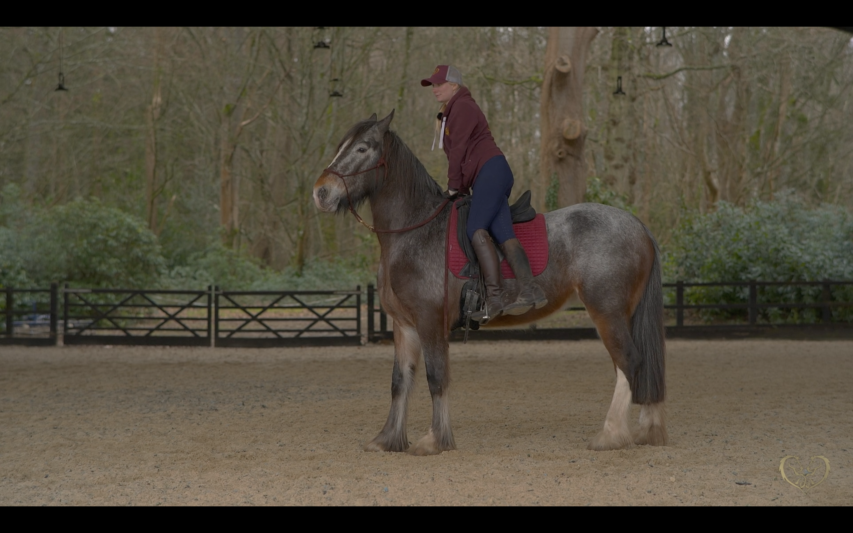 HOW TO MOUNT A YOUNG HORSE