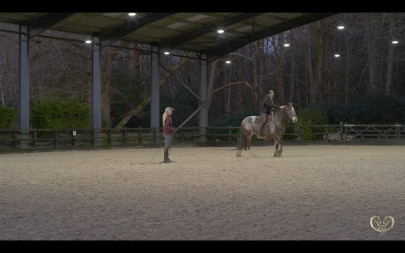 BUILDING CONFIDENCE WITH THE RIDER