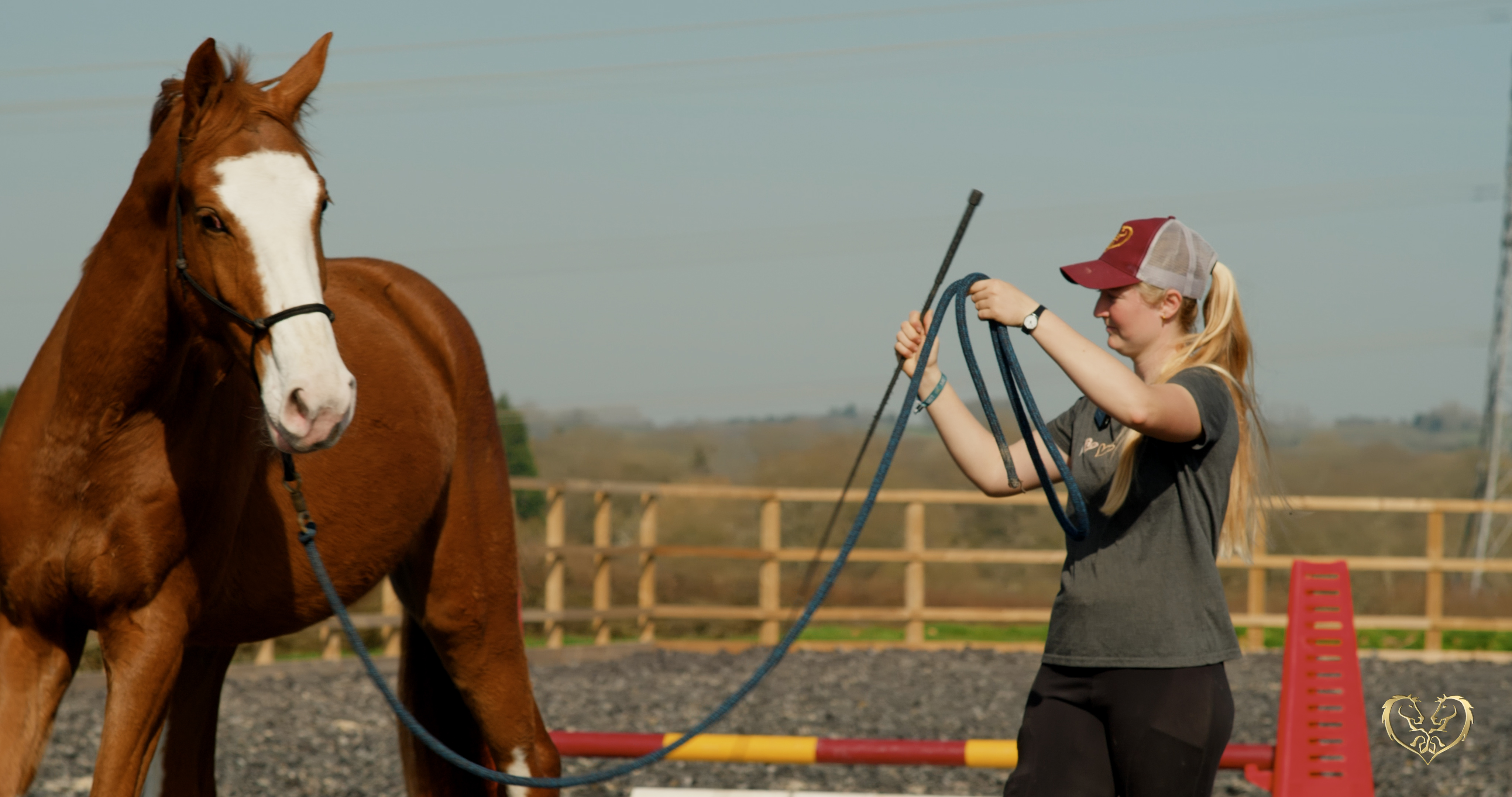 INFLUENCING STRUCTURES IN MOTION