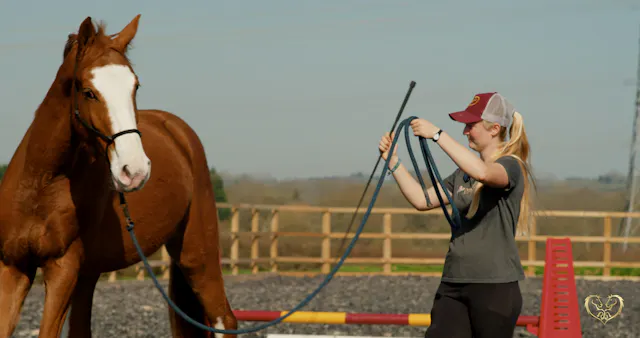 INFLUENCING STRUCTURES IN MOTION