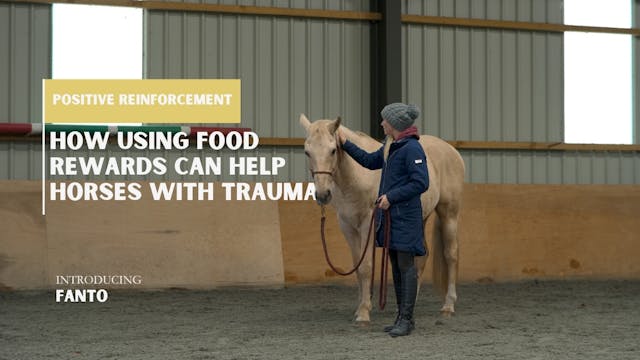 HOW USING FOOD REWARDS CAN HELP HORSE...