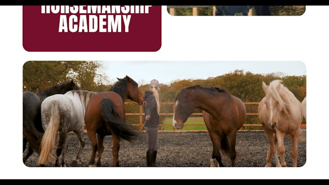 SHARING SPACE IN THE STABLE PT 1