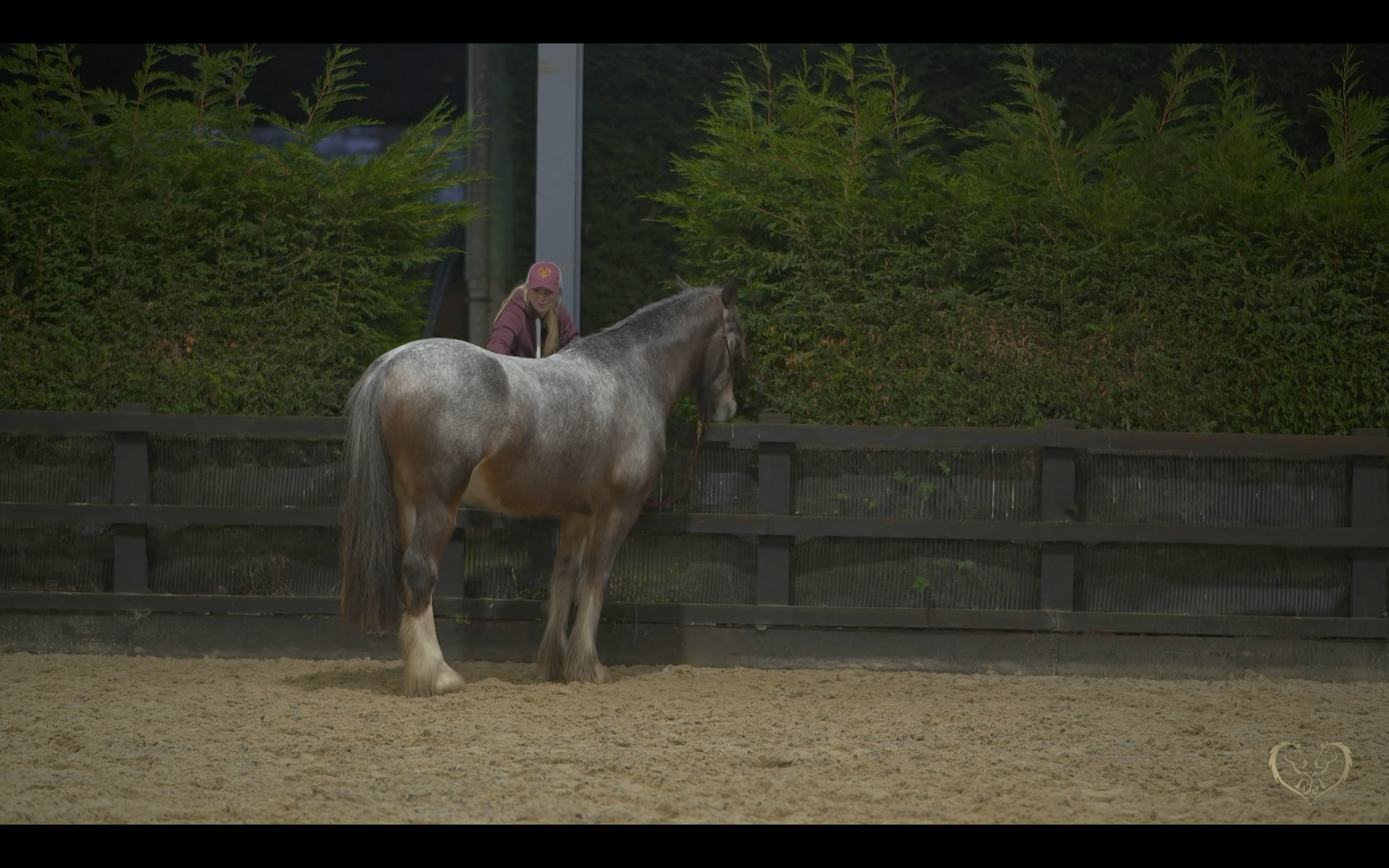 TEACH YOUR HORSE TO PARK