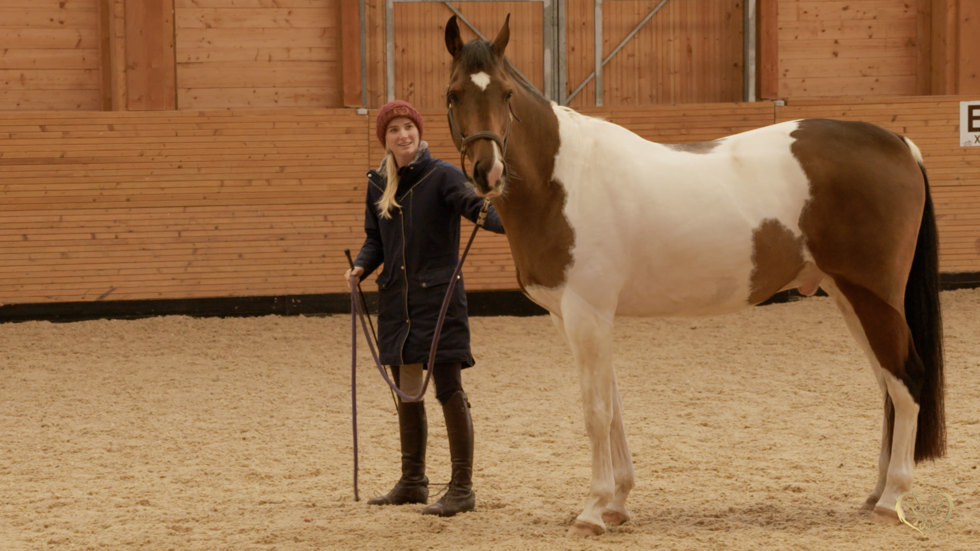 ONLINE EXERCISES FOR MENTAL CONNECTION 