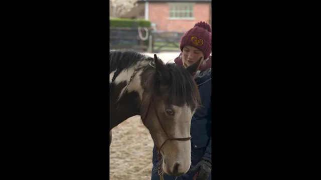 HALTER A HORSE THAT GRABS THE HALTER