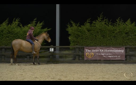 TAKING AWAY THE REINS...
