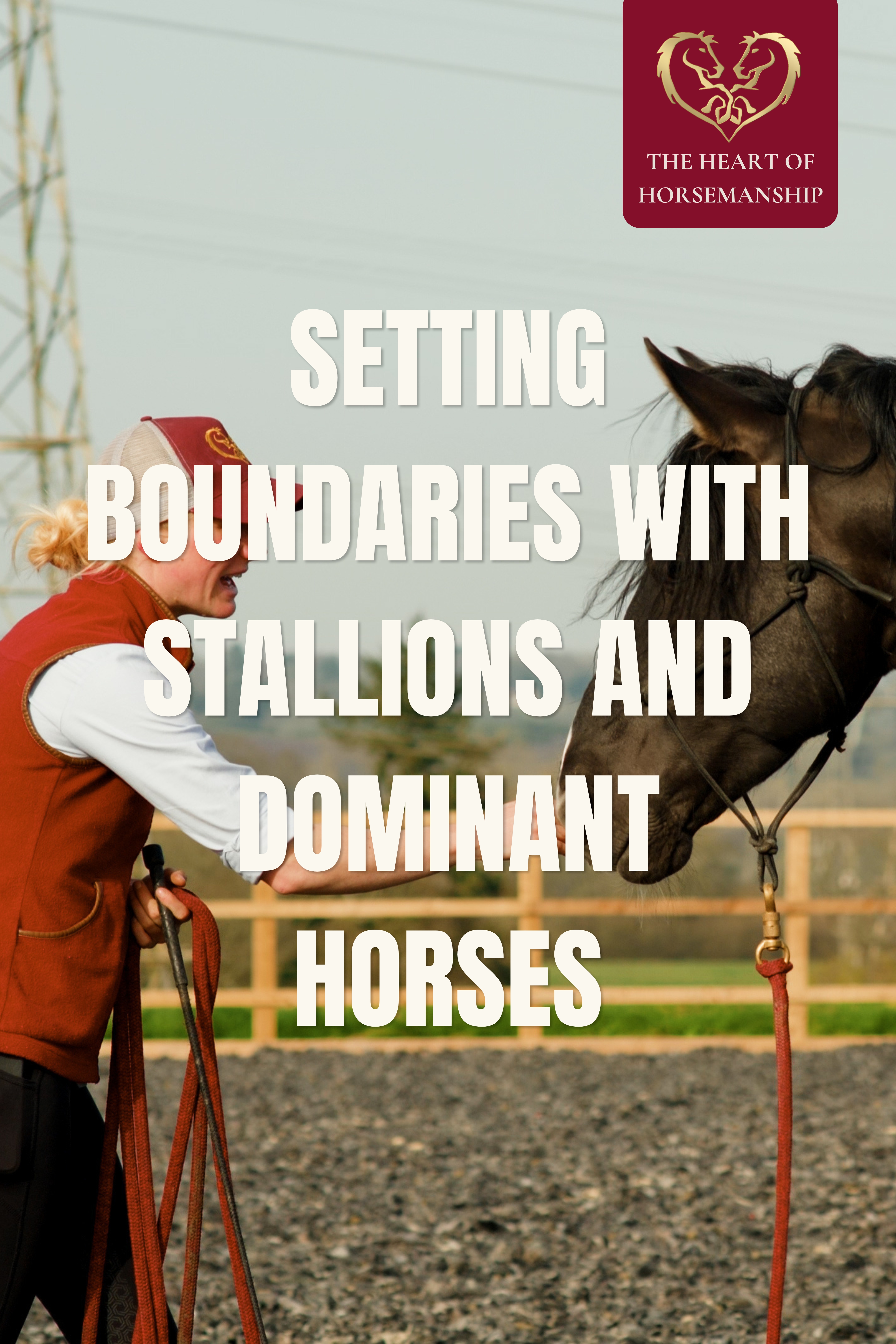 BOUNDARY SETTING WITH STALLIONS & DOMINANT HORSES