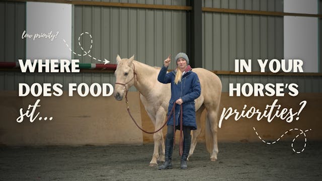 WHERE DOES FOOD SIT IN YOUR HORSE'S P...