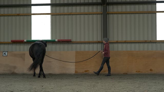 SIDEWAYS DOWN THE FENCE