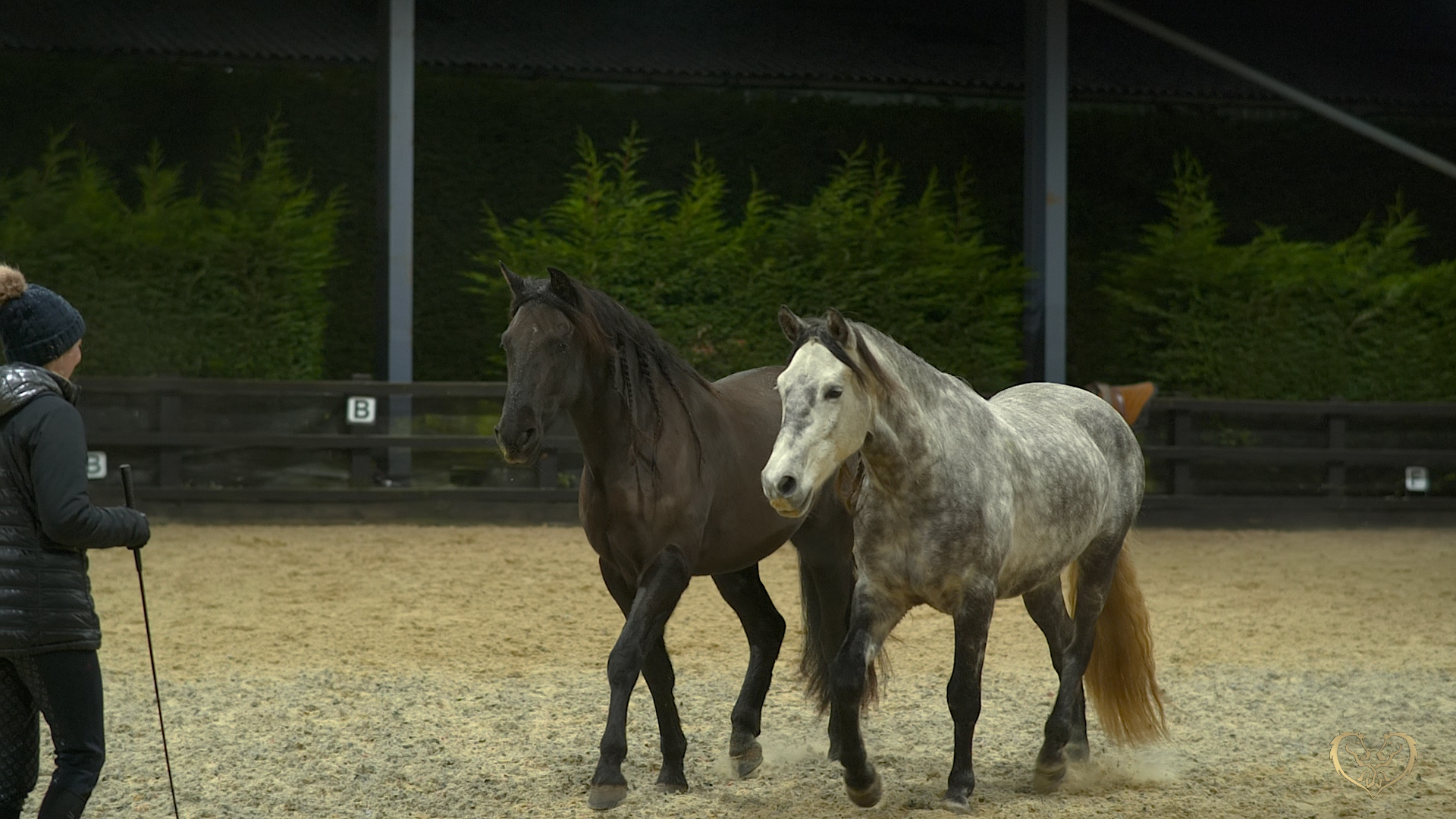 WARMING UP FOR ROMAN RIDING PART 1