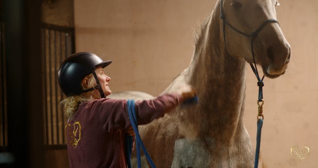 SHARING SPACE IN THE STABLE - THRESHOLDS