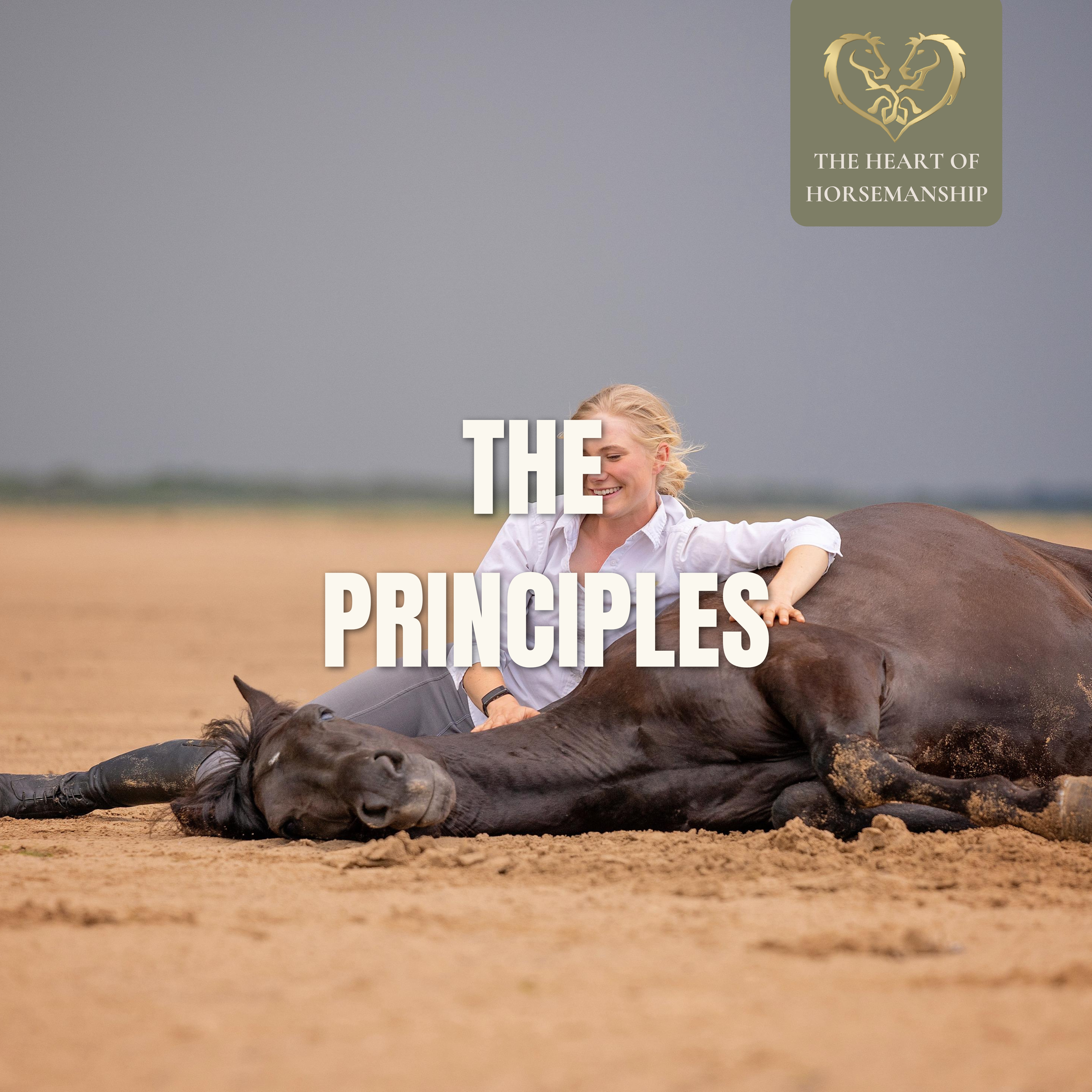 The Principles Of Horsemanship
