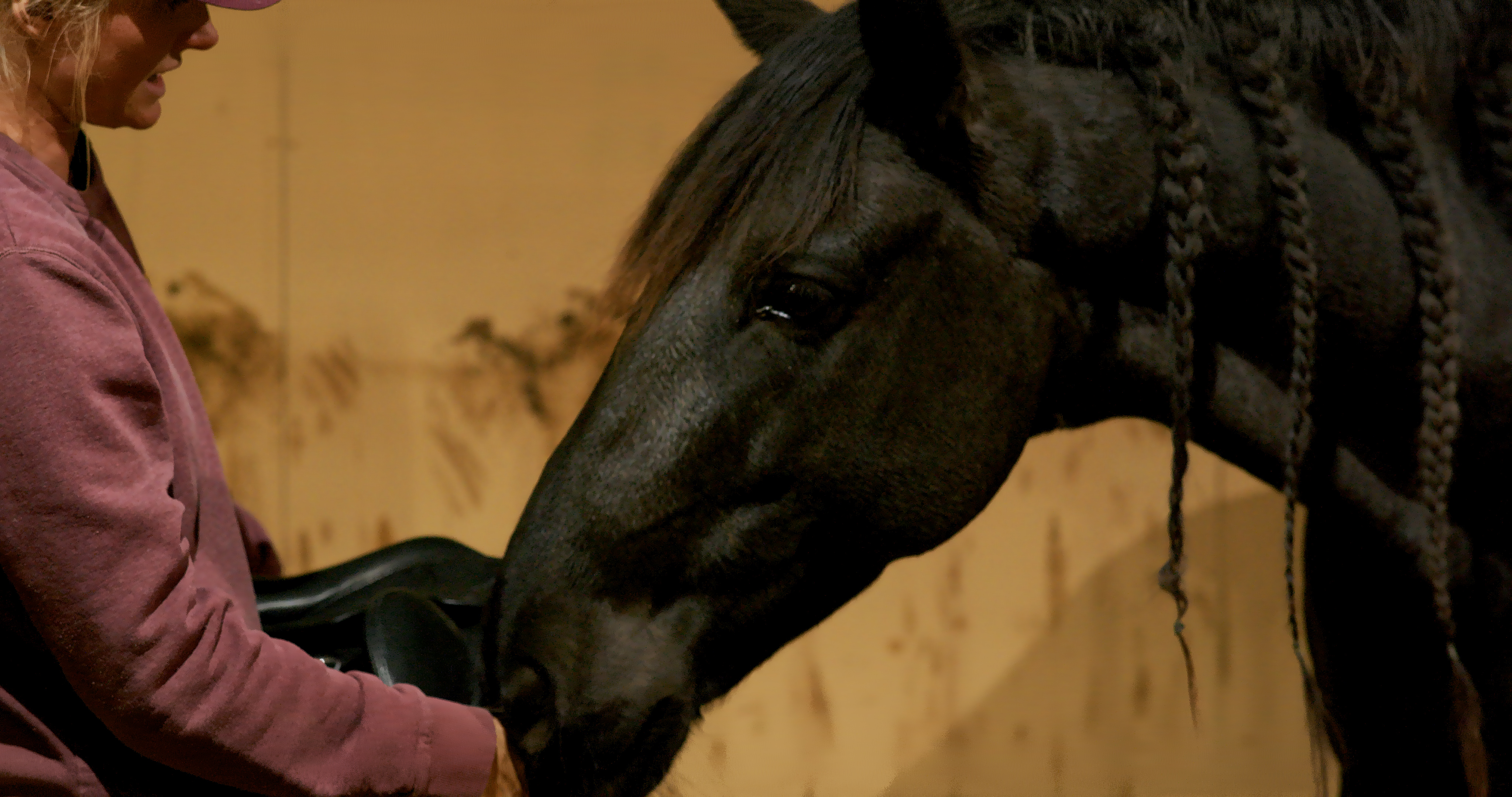 SADDLING WITH CONSENT