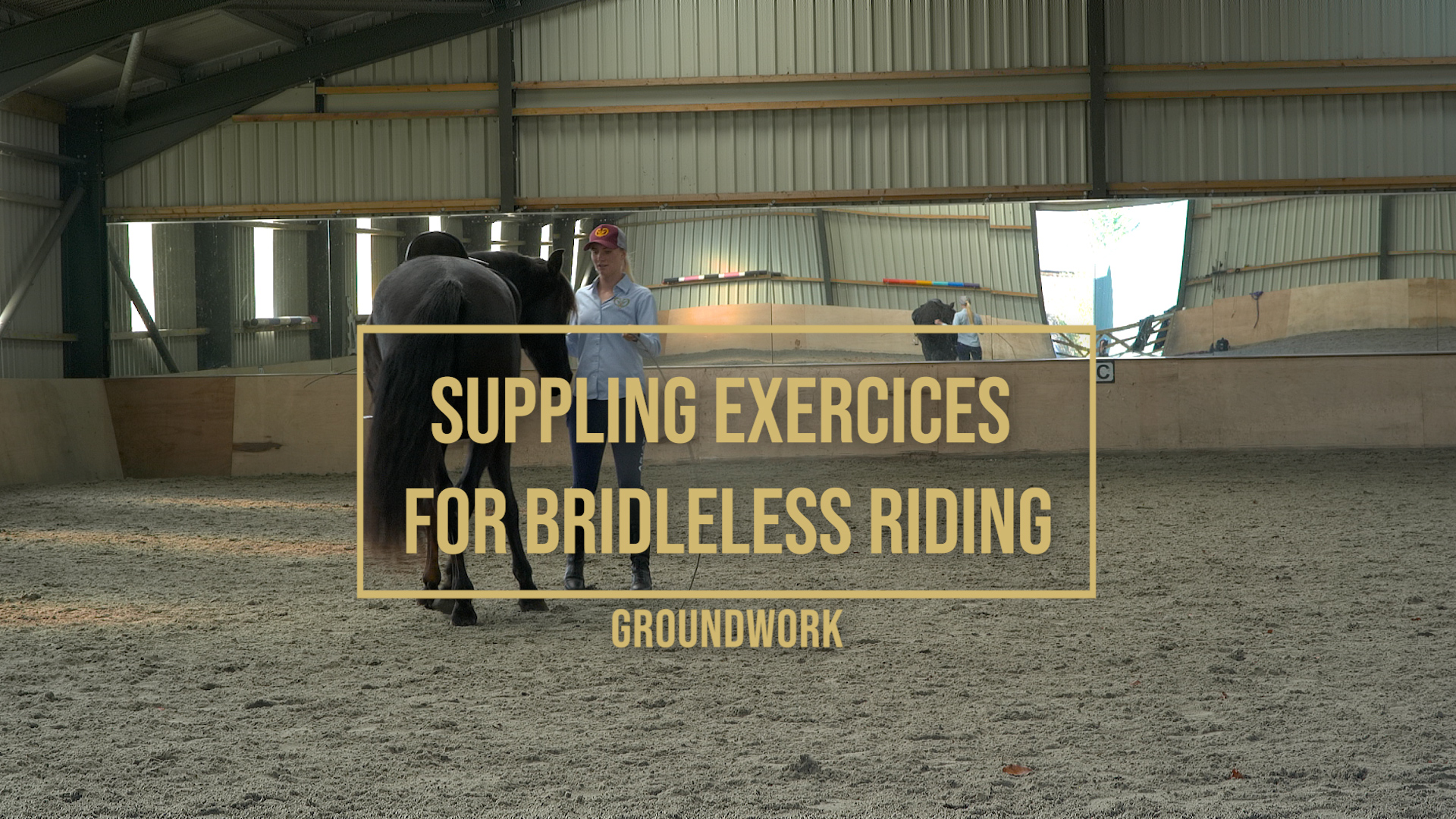 SUPPLING EXERCISES FOR BRIDLELESS RIDING