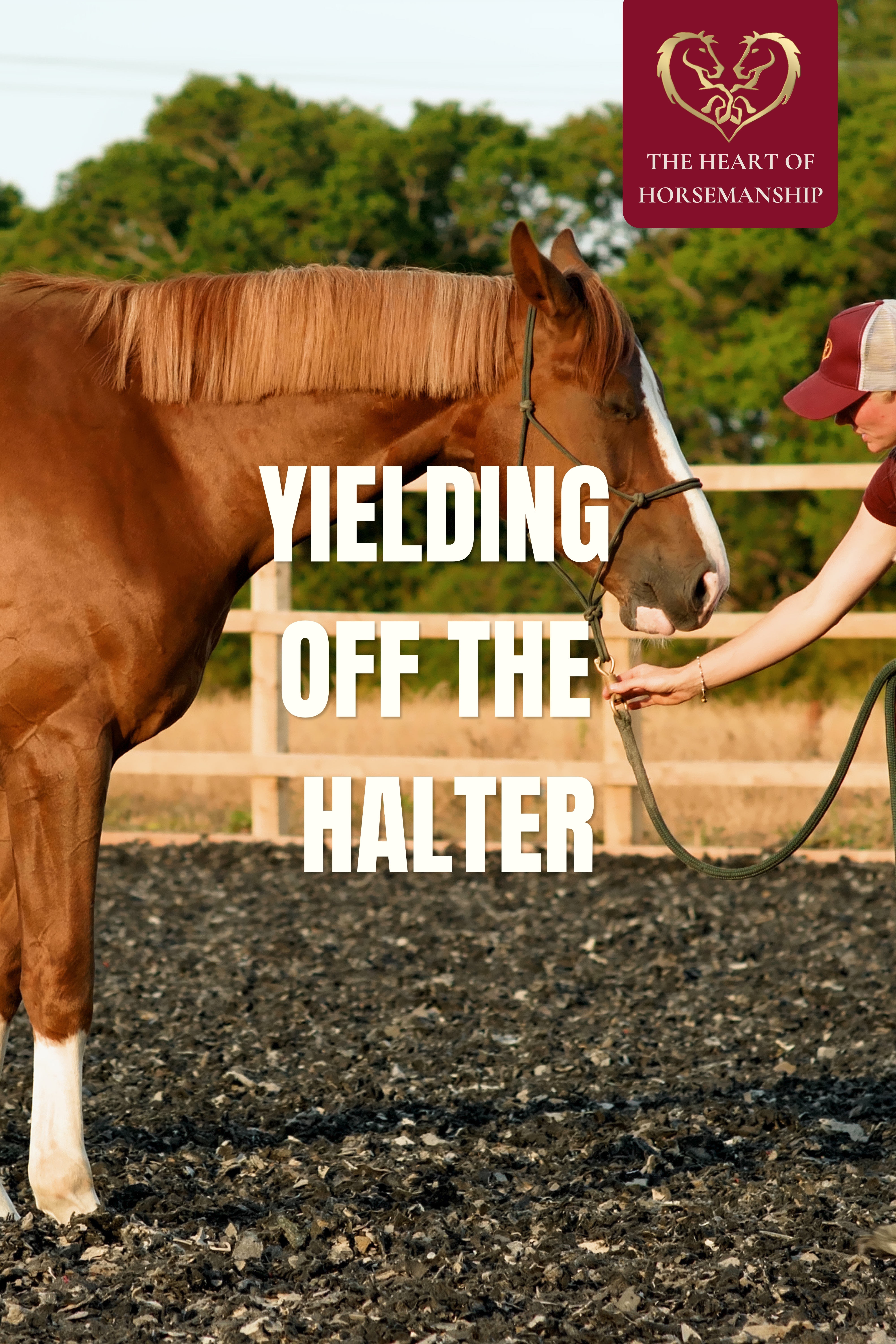 YIELDING OFF THE HALTER